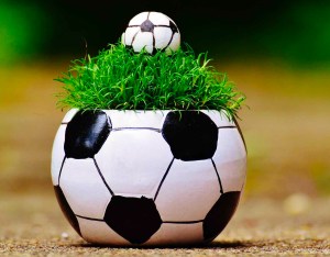 white and black soccer ball theme plant pot